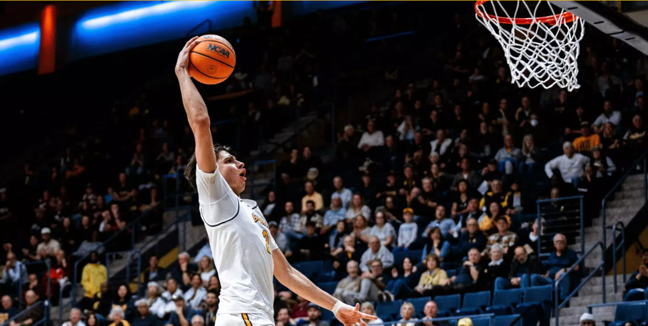 IlliniGuys Goes One-on-One with Future Star Illinois Wing Andrej Stojakovic